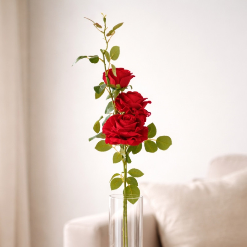Red Rose Stem