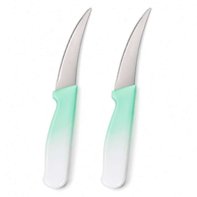 Classic Knife – Silver Premium Quality (14p | 17cm)