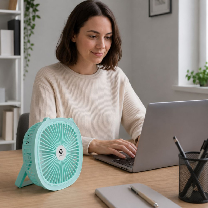 USB Desk Fan