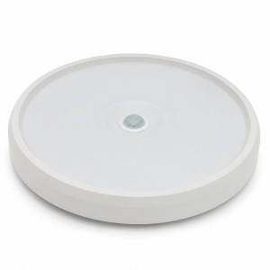 Motion Sensor Light