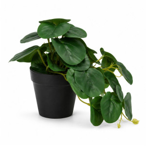 Elegant Flow Artificial Plant Designed for Home Décor &amp; Event Styling – Green (H-19, W-27 CM)
