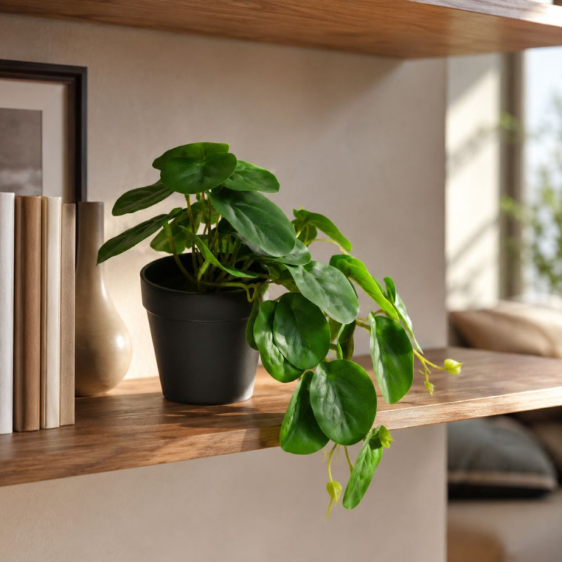 Elegant Flow Artificial Plant Designed for Home Décor &amp; Event Styling – Green (H-19, W-27 CM)