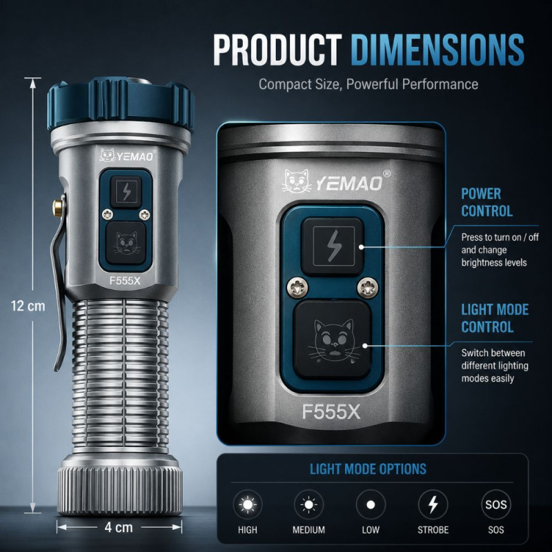 Bright Silver F555X Flashlight
