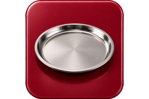 Stainless Steel Plate