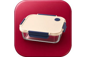 Tiffin Box
