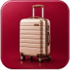 Travel Trolly