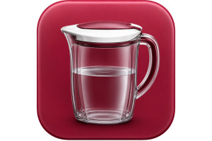Water Jug