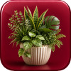 Artificial Plants